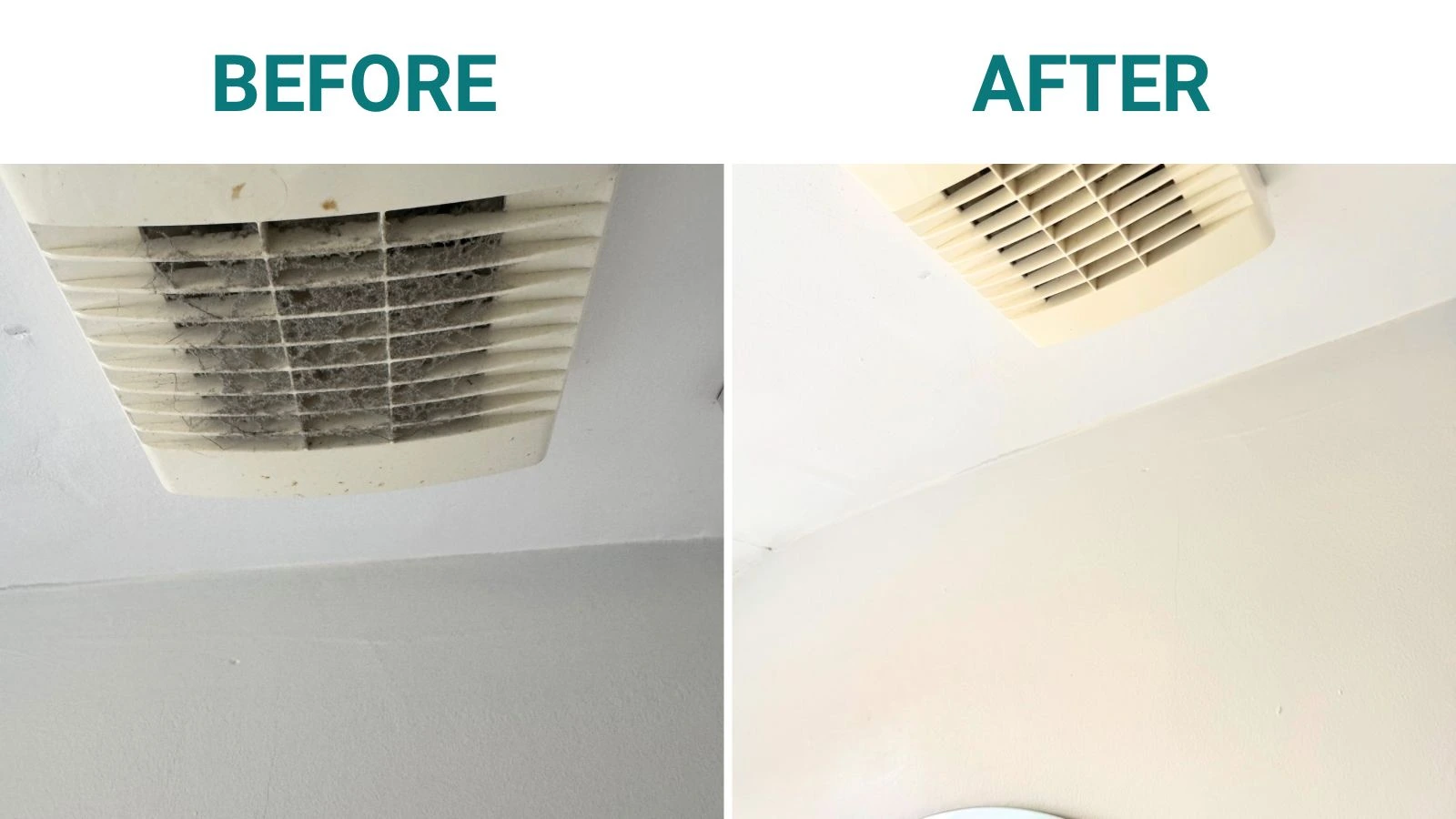 WhatsApp Image 2025-10-06 at 12.38.33